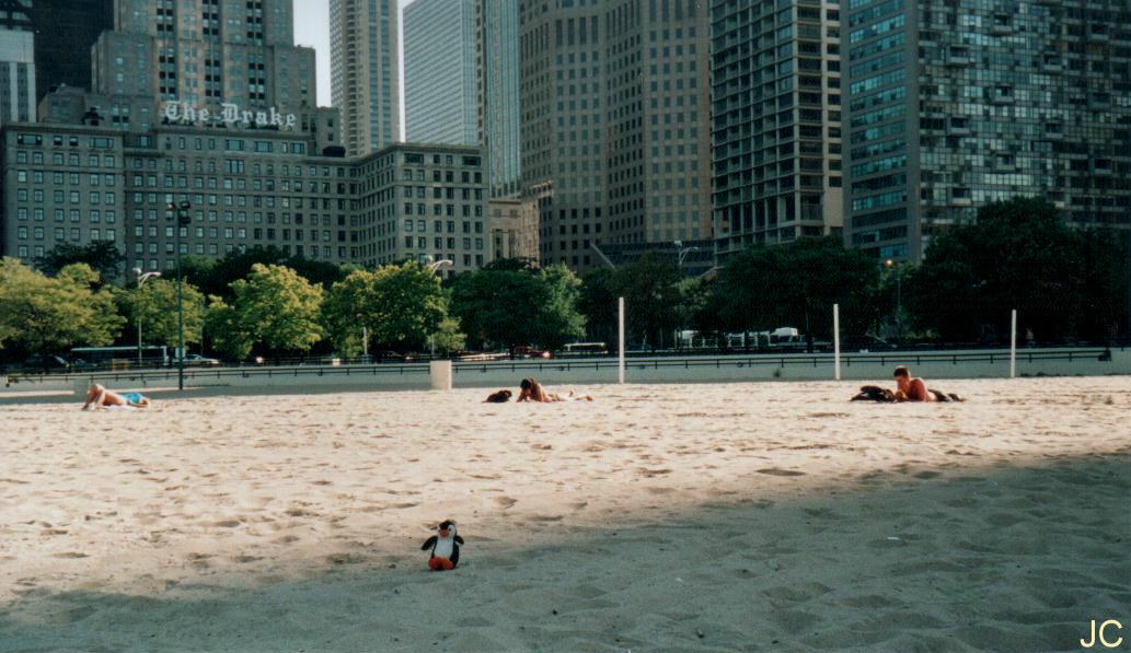 chicagobeach1.jpg
