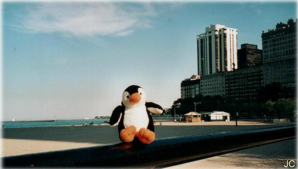 chicagobeach4.jpg