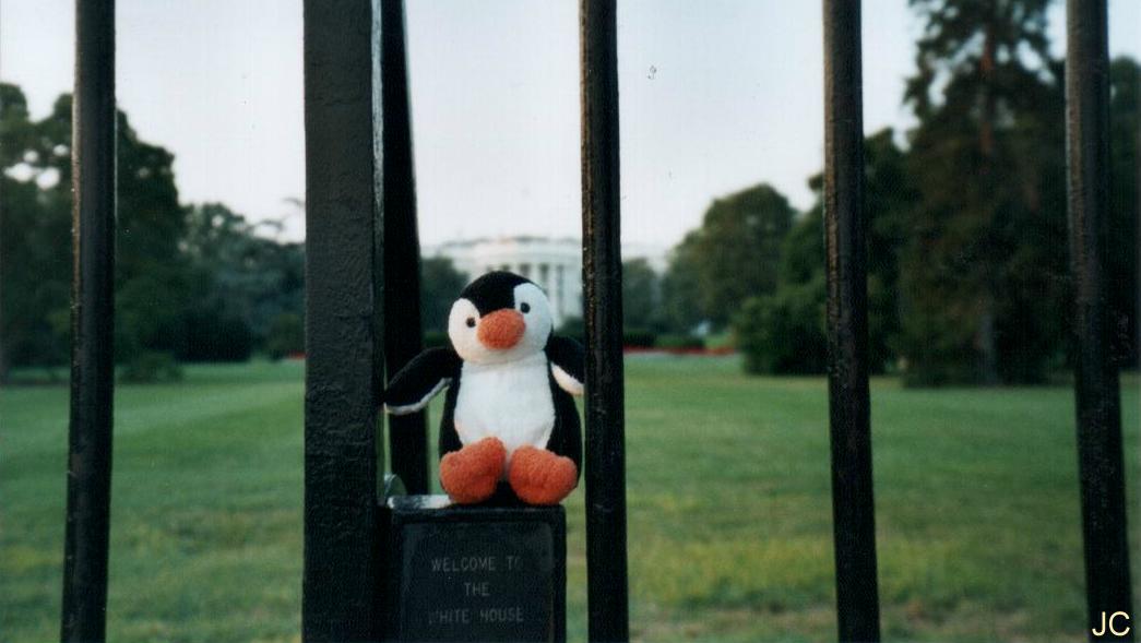 whitehouse.jpg